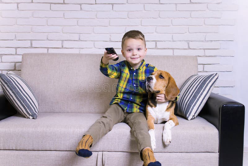 Funny boy with remote control watching TV with dog Beagle on the couch. Funny boy with remote control watching TV with dog Beagle on the couch