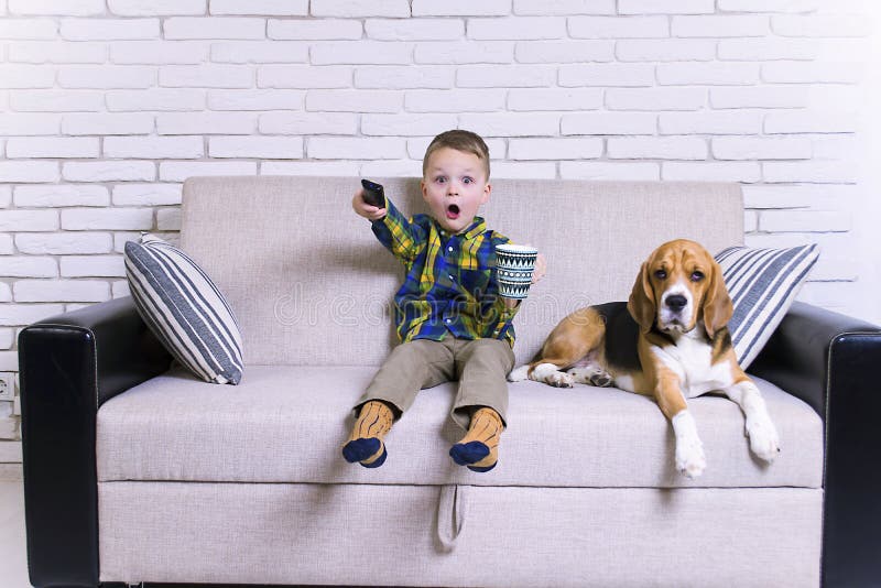 Funny boy with remote control watching TV with dog Beagle on the couch. Funny boy with remote control watching TV with dog Beagle on the couch