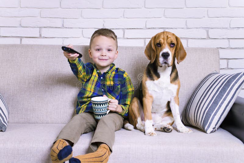 Funny boy with remote control watching TV with dog Beagle on the couch. Funny boy with remote control watching TV with dog Beagle on the couch