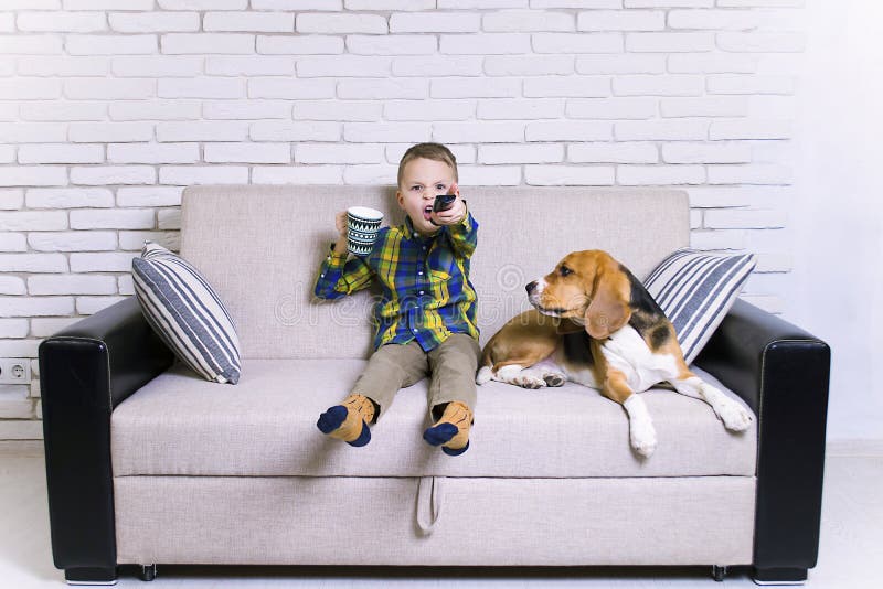 Funny boy with remote control watching TV with dog Beagle on the couch. Funny boy with remote control watching TV with dog Beagle on the couch