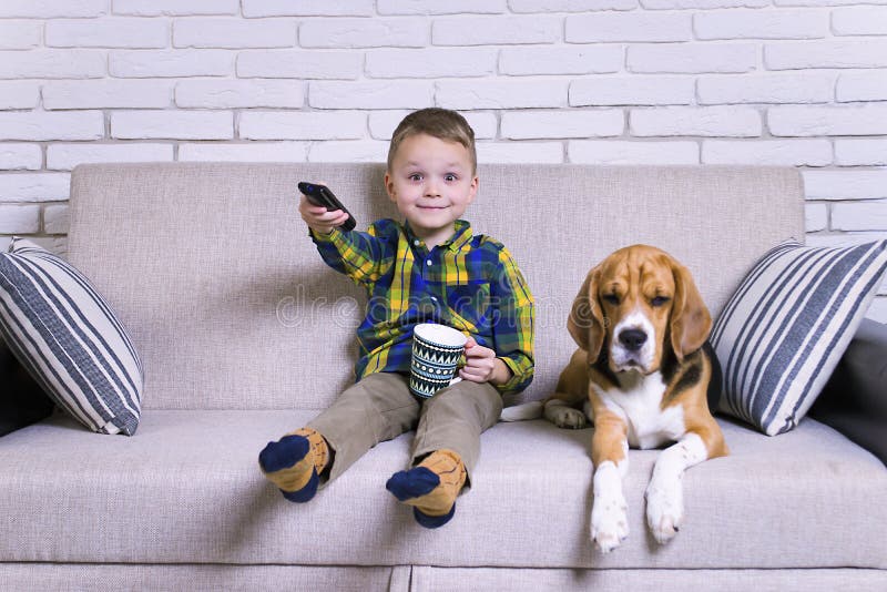 Funny boy with remote control watching TV with dog Beagle on the couch. Funny boy with remote control watching TV with dog Beagle on the couch