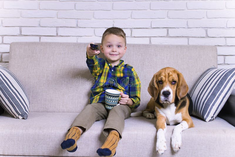 Funny boy with remote control watching TV with dog Beagle on the couch. Funny boy with remote control watching TV with dog Beagle on the couch