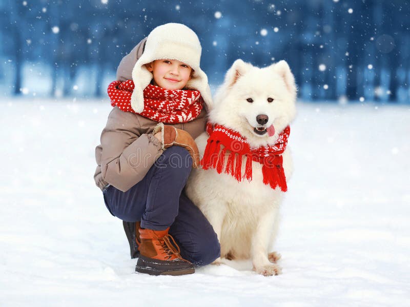 Christmas happy teenager boy walking with white Samoyed dog in winter day, child and dog on snow, flying snowflakes. Christmas happy teenager boy walking with white Samoyed dog in winter day, child and dog on snow, flying snowflakes