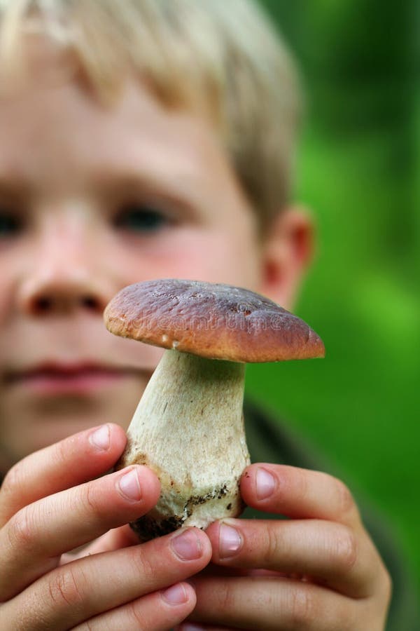 Four year old boy showing wild boletus edulis mushroom found in the forest. Four year old boy showing wild boletus edulis mushroom found in the forest.