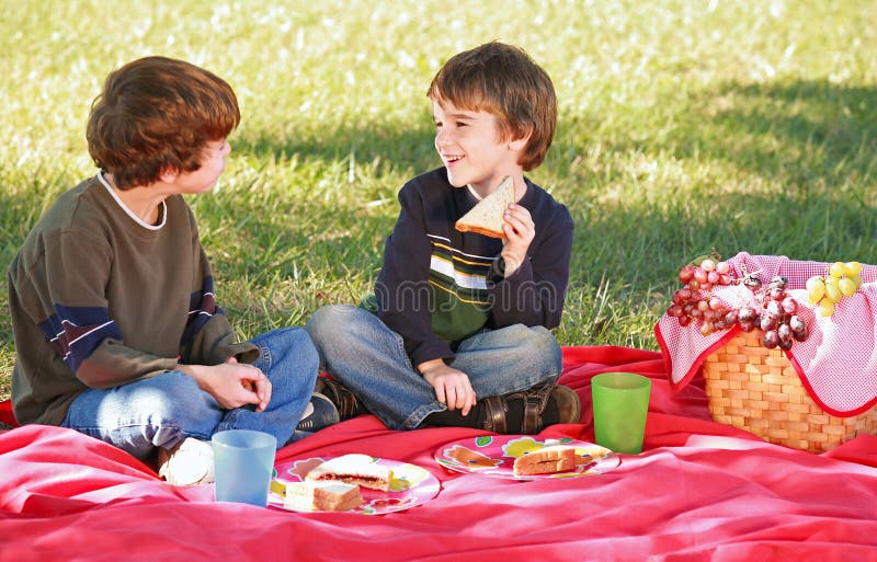 Jongens die een Picknick hebben stock fotografie Jongens die een Picknick hebben stock fotografie