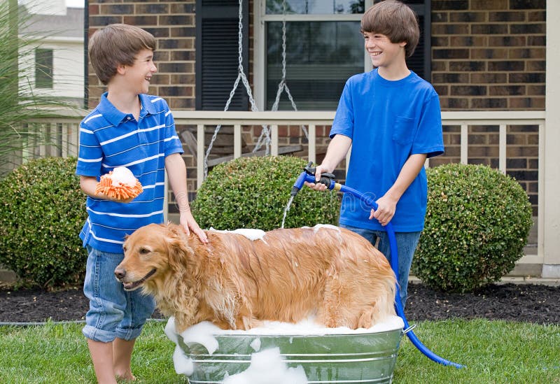 Jongens die Hond een Bad geven stock fotografie Jongens die Hond een Bad geven stock fotografie