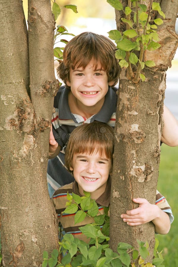 Two Boys Peeking in Between Two Trees. Two Boys Peeking in Between Two Trees