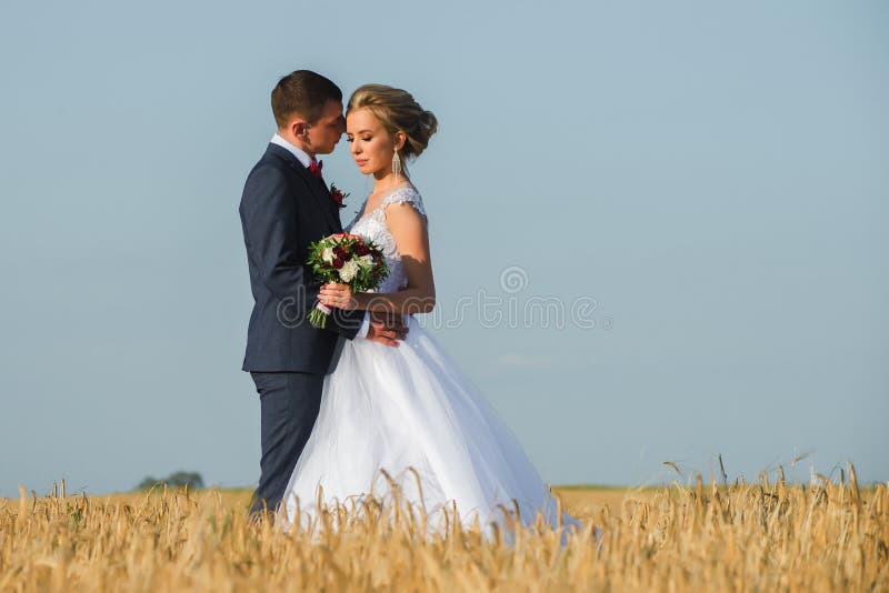 Jonggehuwden op het gebied bij ondiepe diepte van gebied stock foto's Jonggehuwden op het gebied bij ondiepe diepte van gebied stock foto's