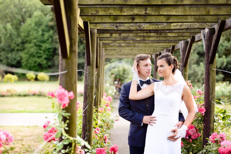 Jonggehuwden in parkrosarium naast mooie roze rozen stock foto's Jonggehuwden in parkrosarium naast mooie roze rozen stock foto's