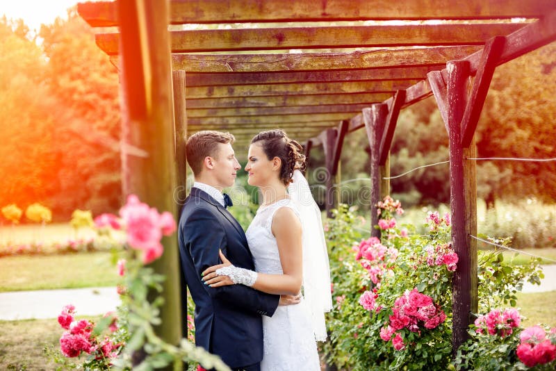 Jonggehuwden in parkrosarium naast mooie roze rozen stock afbeeldingen Jonggehuwden in parkrosarium naast mooie roze rozen stock afbeeldingen