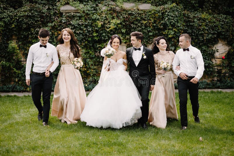 Jonggehuwdepaar, bruidsmeisjes en groomsmen die pret hebben in openlucht stock foto's Jonggehuwdepaar, bruidsmeisjes en groomsmen die pret hebben in openlucht stock foto's