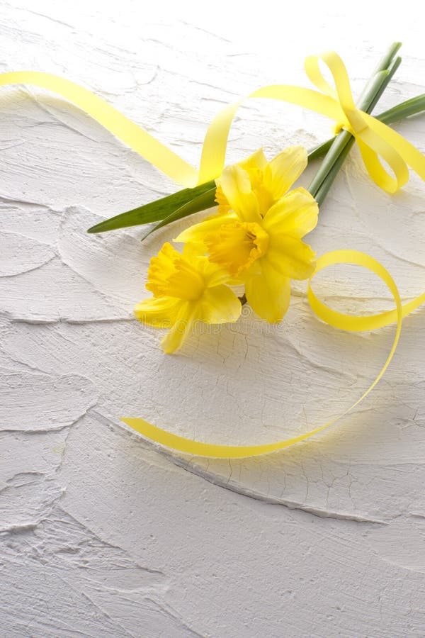 Jonquil flower stock photo. Image of bunch, simple, petal 26096388