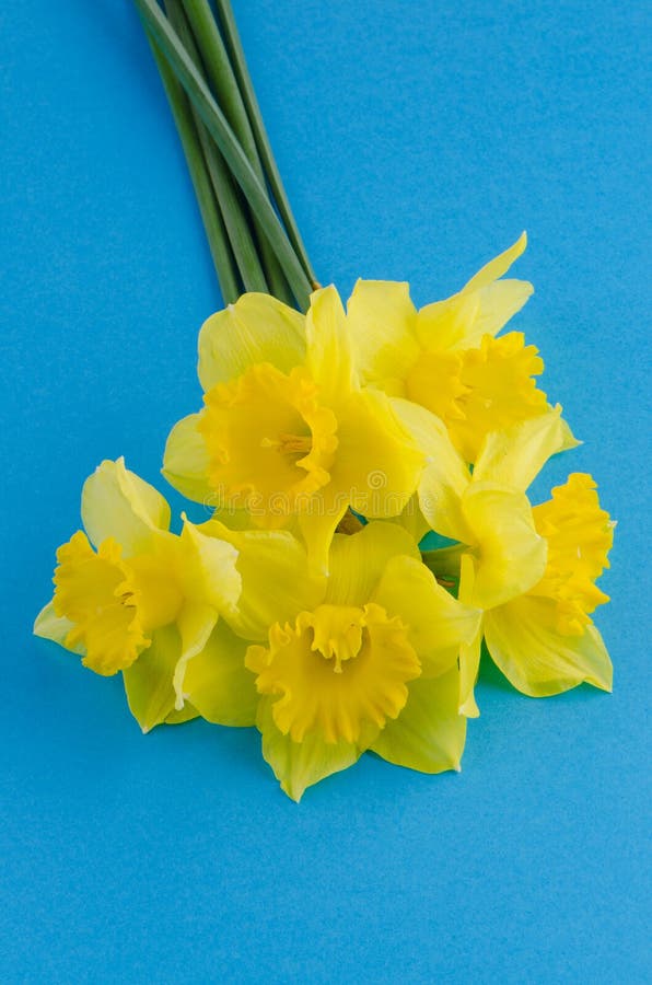 Jonquil flowers stock image. Image of jonquil, bouquet - 41443561