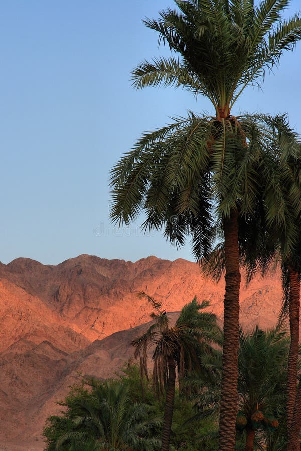 Jordan: Aqaba Mountains