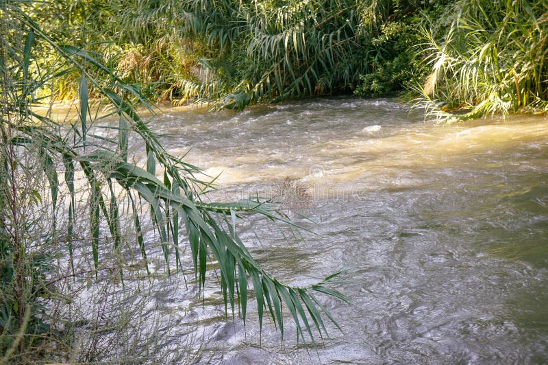 Jordan River, Israel foto de archivo Jordan River, Israel foto de archivo