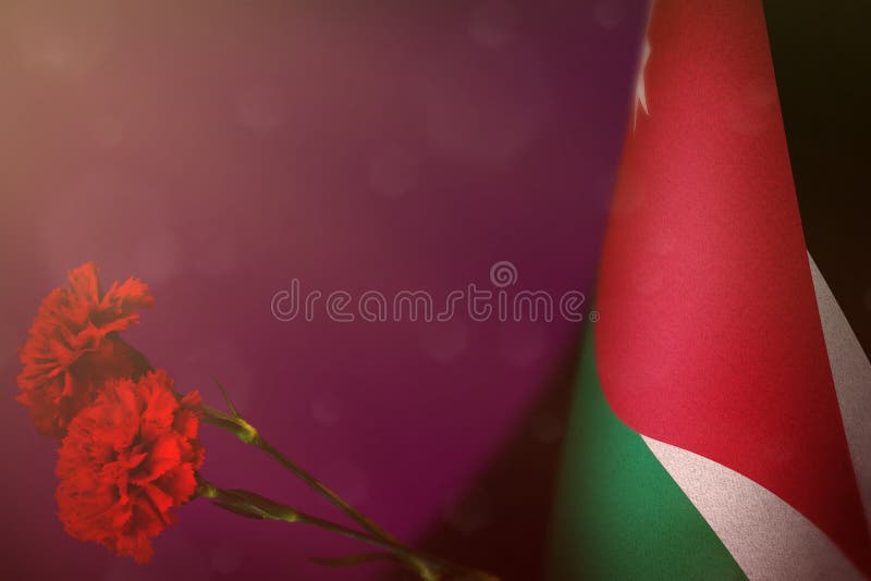 Jordanienflagga för heder av veteran eller minnesdagen med två röda nejlikablommor Härlighet till Jordanienhjältar av krigbegrepp arkivbild Jordanienflagga för heder av veteran eller minnesdagen med två röda nejlikablommor Härlighet till Jordanienhjältar av krigbegrepp arkivbild