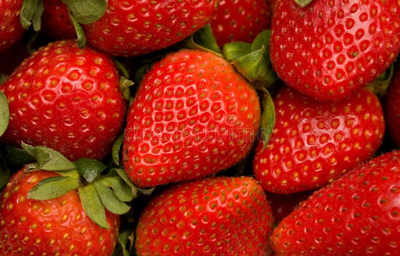 Closeup of bunch of fresh strawberries. Closeup of bunch of fresh strawberries