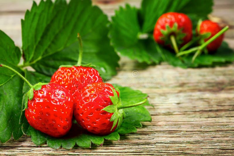 jordgubbe ny jordgubbe Rött strewberry Löst lade jordgubbar i olika positioner arkivfoto jordgubbe ny jordgubbe Rött strewberry Löst lade jordgubbar i olika positioner arkivfoto