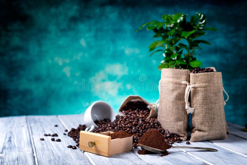 Ground coffee with coffe seeds and coffe plant with jute bags on the background. Ground coffee with coffe seeds and coffe plant with jute bags on the background.