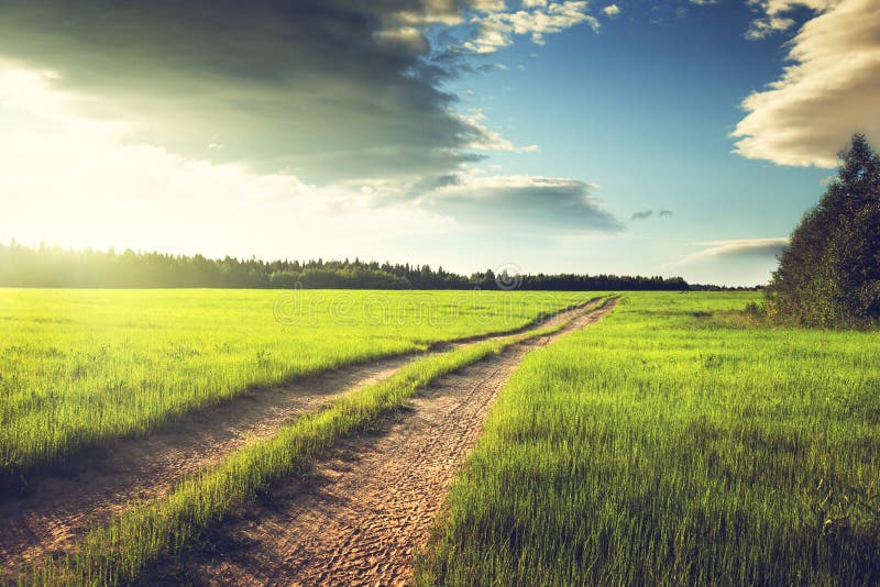 Ground road and field of spring grass, Europa. Ground road and field of spring grass, Europa