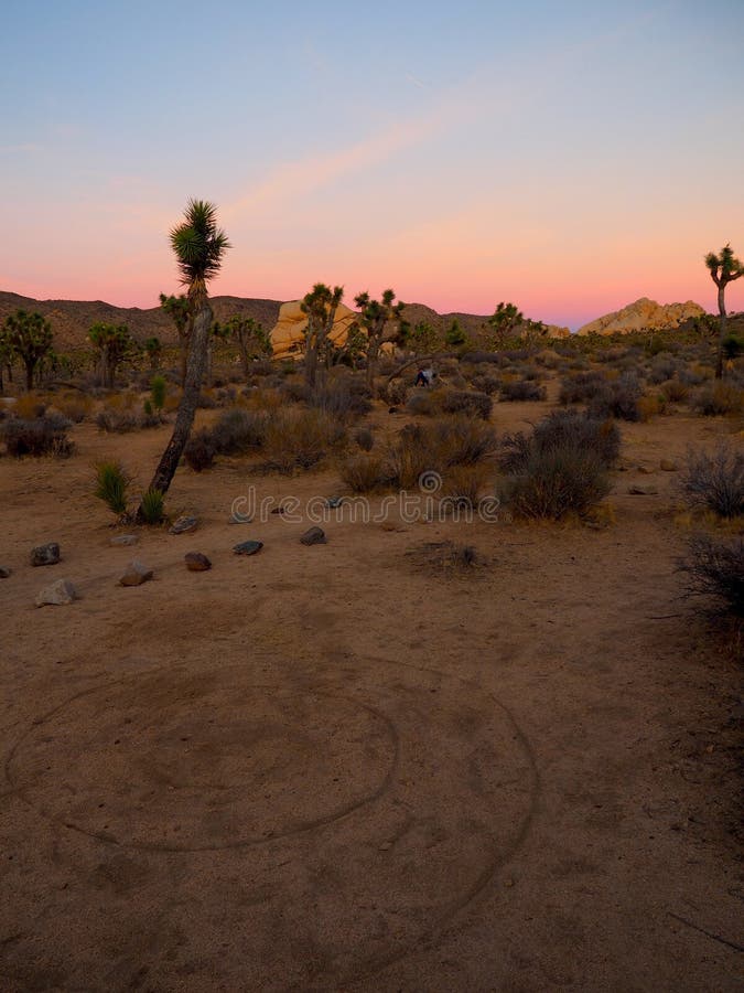 Joshua Tree California på solnedgången arkivfoto Joshua Tree California på solnedgången arkivfoto