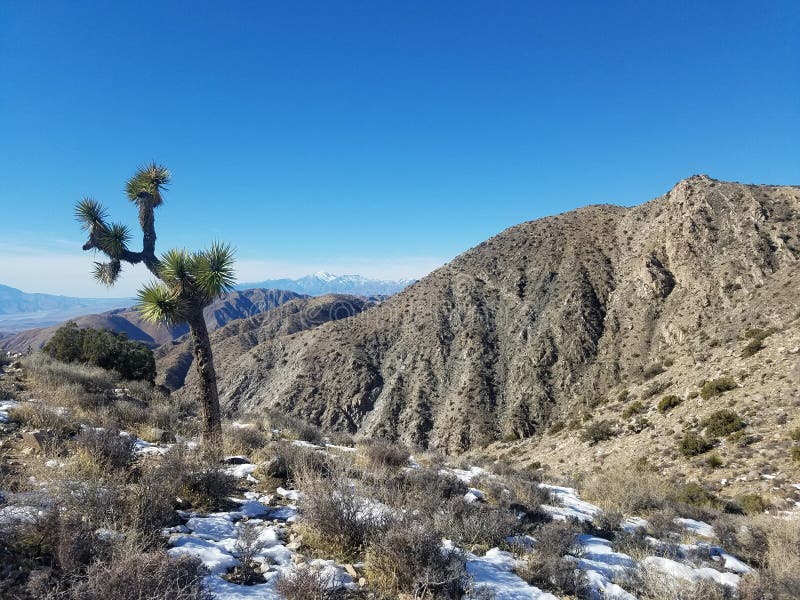 Joshua Tree National Forest Keys View toward San Gorgonio royalty free stock photos