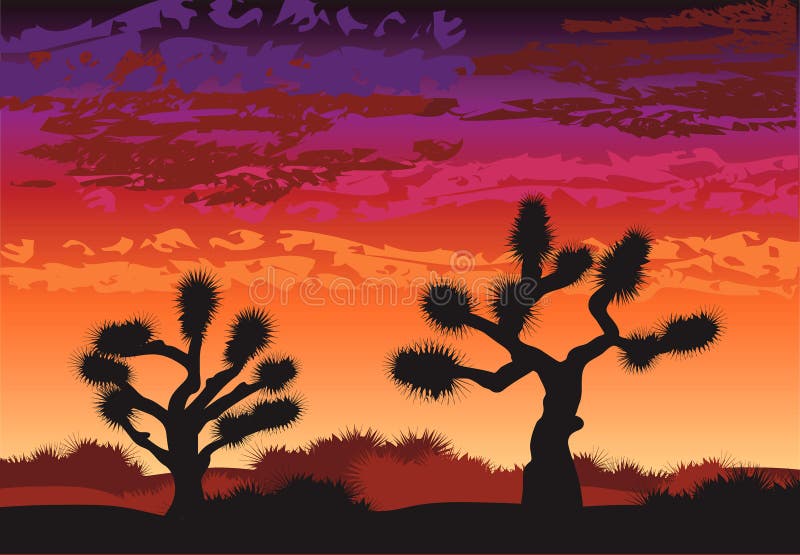 Joshua Tree At Sunset Illustration Stock Illustration Illustration of