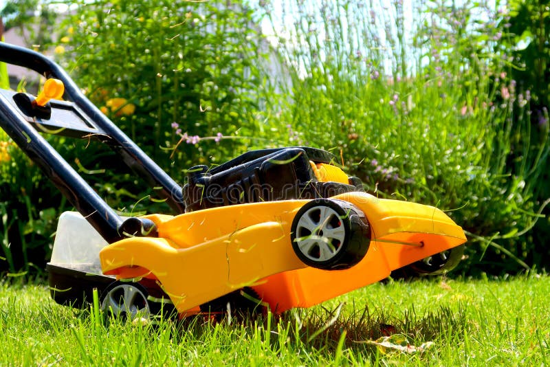 Jouet De Tondeuse à Gazon Des Enfants Jaunes Qui Prétend Couper L'herbe  Image stock - Image du découpage, été: 197816457