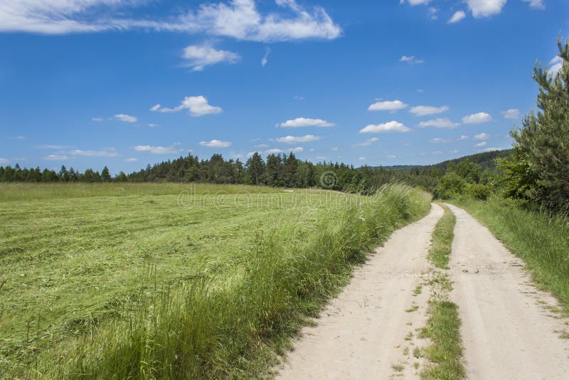 Jour d'été et un chemin de terre menant à la forêt sur l'horizon à l'arrière-plan Ciel bleu avec des nuages photo libre de droits Jour d'été et un chemin de terre menant à la forêt sur l'horizon à l'arrière-plan Ciel bleu avec des nuages photo libre de droits
