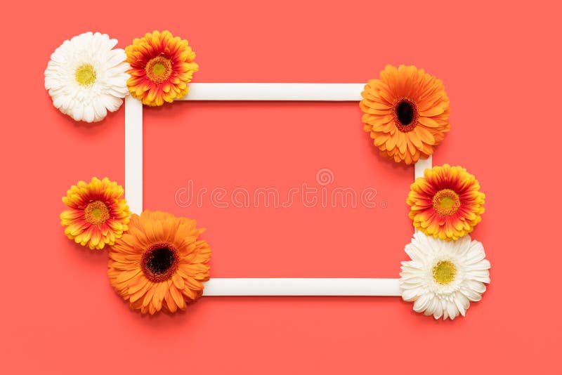 Jour de mères heureux, jour des femmes, jour de valentines ou anniversaire vivant Coral Pantone Color Background Carte de voeux d images libres de droits