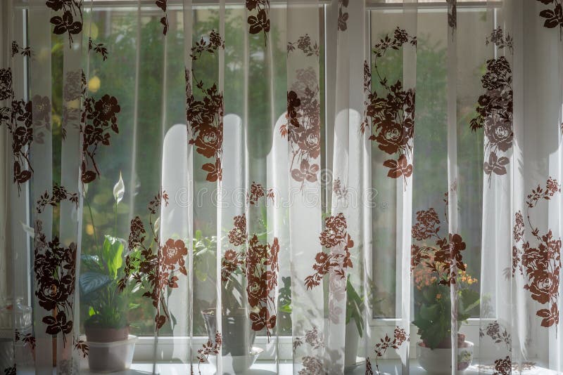 Curtain covers window and windowsill with flowers at noon. Noon sunshine. Sunny day behind the curtain. Curtain covers window and windowsill with flowers at noon. Noon sunshine. Sunny day behind the curtain.