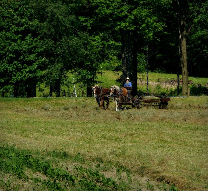 Jour ouvrable amish photographie stock libre de droits Jour ouvrable amish photographie stock libre de droits