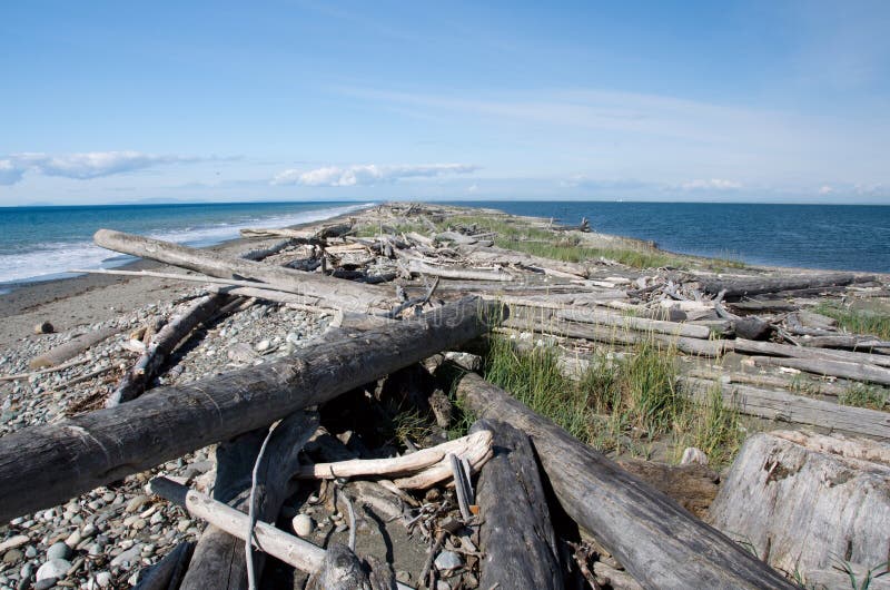 Dungeness Spit trail between surf and cal waters. Dungeness Spit trail between surf and cal waters