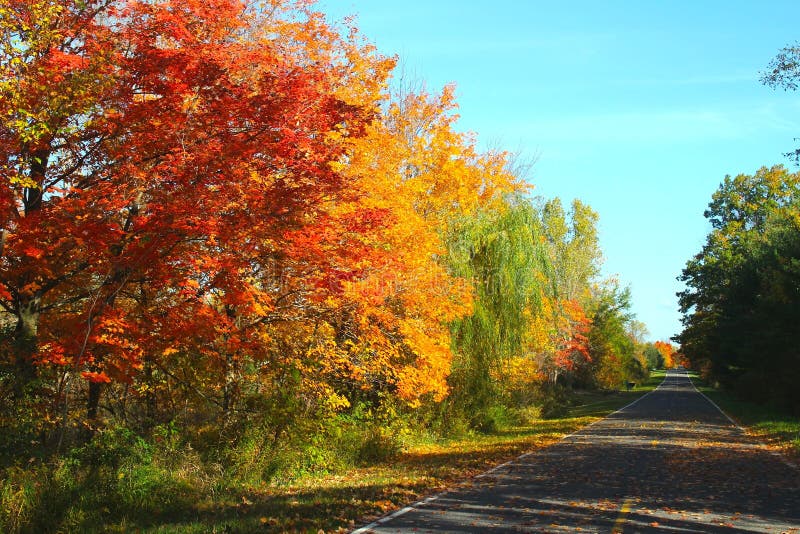 Scenic Tree Lined Country Road In The Catskill Mountains Of