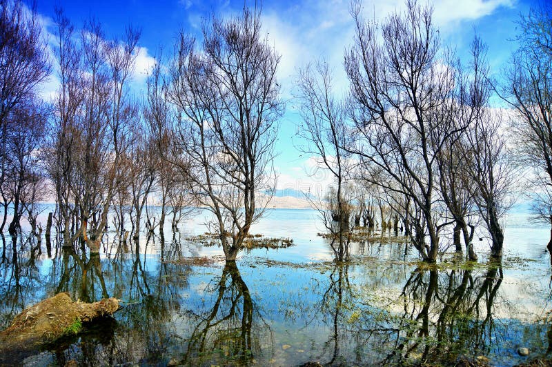 Jours ensoleillés sous le paysage naturel, lacs, arbres photographie stock Jours ensoleillés sous le paysage naturel, lacs, arbres photographie stock