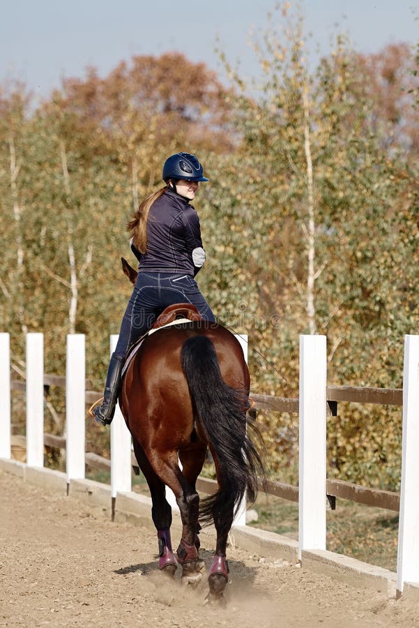 Mulher Cavaleira Cavalgando a Cavalo Marrom E Pulando a Cerca Na Arena De  Sandy Parkour Aperfeiçoamento Profissional Competitivo Imagem de Stock -  Imagem de fêmea, marrom: 165294797