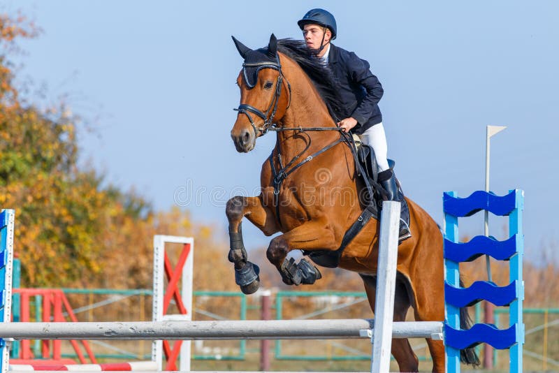 a cavalo saltos sobre a obstáculo. a cavalo cavalgando. pulando