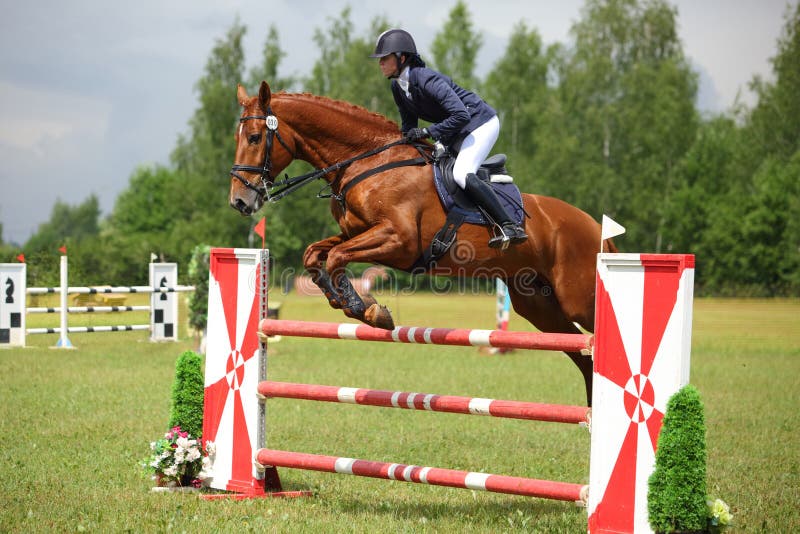 Garota Equestre Pulando Obstáculo Com Cavalo Cinza-maçã Imagem de