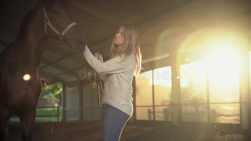 Mulher Bonita Sorrindo Em Frente Ao Cavalo No Pôr Do Sol Imagem de