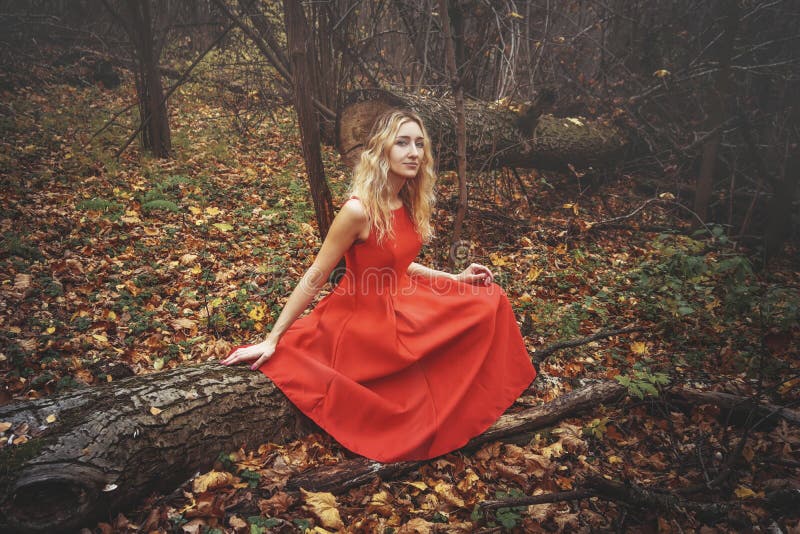 A jovem linda mulher no vestido vermelho está caminhando na floresta mística nebulosa com folhas caídas foto de stock A jovem linda mulher no vestido vermelho está caminhando na floresta mística nebulosa com folhas caídas foto de stock
