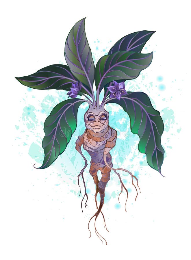 Desenho mandrake feminina desenhar