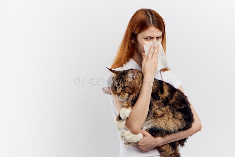 A jovem mulher bonita no fundo isolado branco guarda um gato, uma alergia fotografia de stock A jovem mulher bonita no fundo isolado branco guarda um gato, uma alergia fotografia de stock