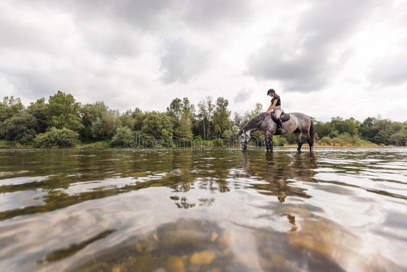 Garota Equestre Pulando Obstáculo Com Cavalo Cinza-maçã Imagem de