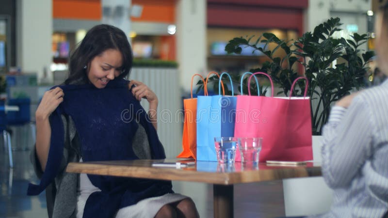 Jovem mulher feliz com os sacos de compras que mostram a roupa nova a seu amigo fotos de stock Jovem mulher feliz com os sacos de compras que mostram a roupa nova a seu amigo fotos de stock