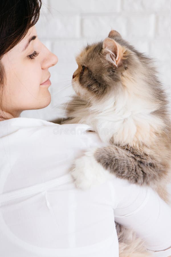 A jovem mulher guarda seu gato macio nas mãos imagens de stock A jovem mulher guarda seu gato macio nas mãos imagens de stock