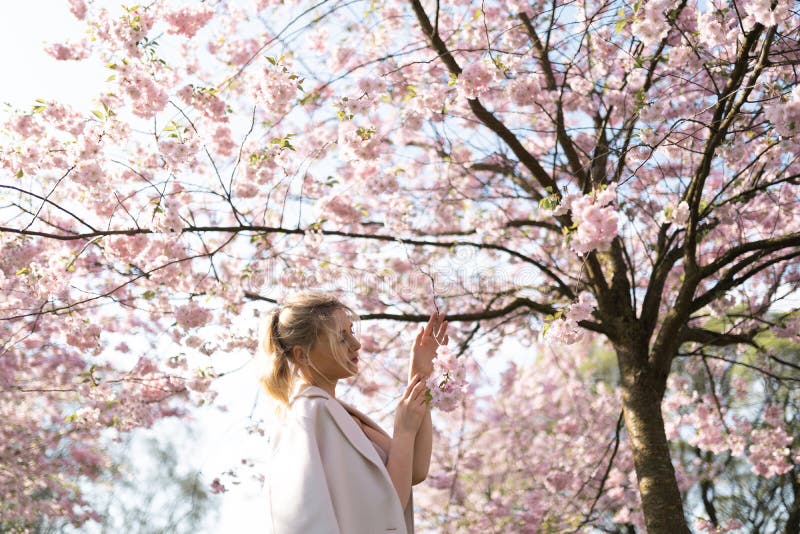 Jovem mulher loura bonita no parque de Sakura Cherry Blossom na mola que aprecia a natureza e o tempo livre durante ela que viaja foto de stock Jovem mulher loura bonita no parque de Sakura Cherry Blossom na mola que aprecia a natureza e o tempo livre durante ela que viaja foto de stock