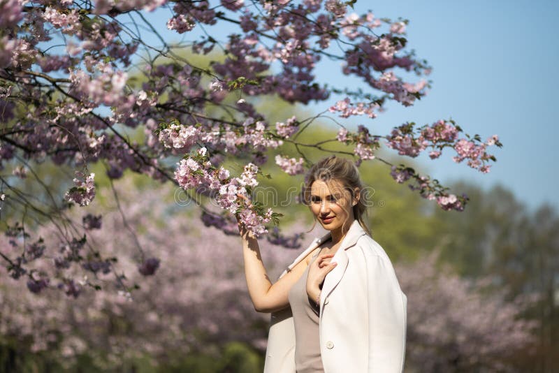 Jovem mulher loura bonita no parque de Sakura Cherry Blossom na mola que aprecia a natureza e o tempo livre durante ela que viaja imagem de stock Jovem mulher loura bonita no parque de Sakura Cherry Blossom na mola que aprecia a natureza e o tempo livre durante ela que viaja imagem de stock