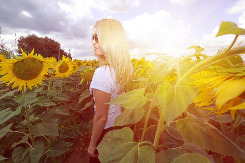 Jovem mulher que anda no campo com girassóis fotografia de stock Jovem mulher que anda no campo com girassóis fotografia de stock