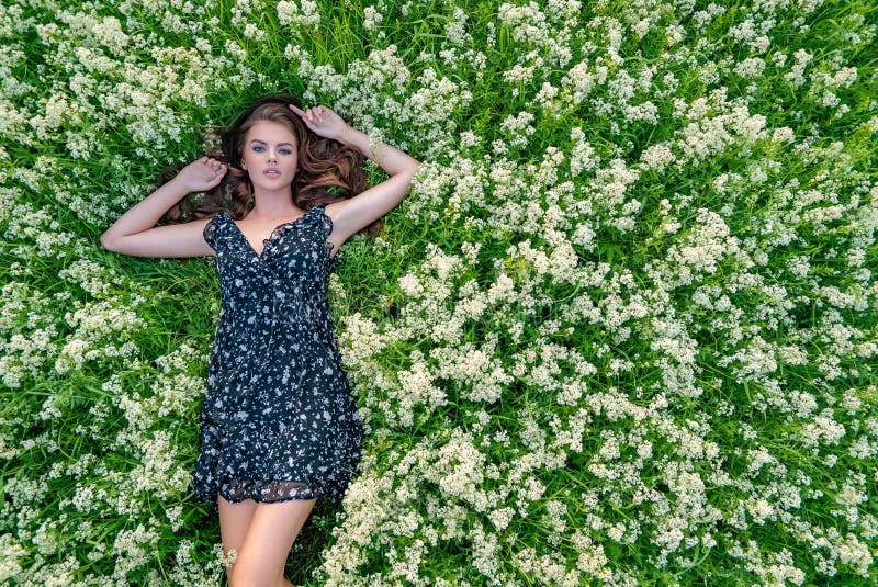 Jovem mulher que encontra-se para baixo nas flores brancas foto de stock royalty free Jovem mulher que encontra-se para baixo nas flores brancas foto de stock royalty free