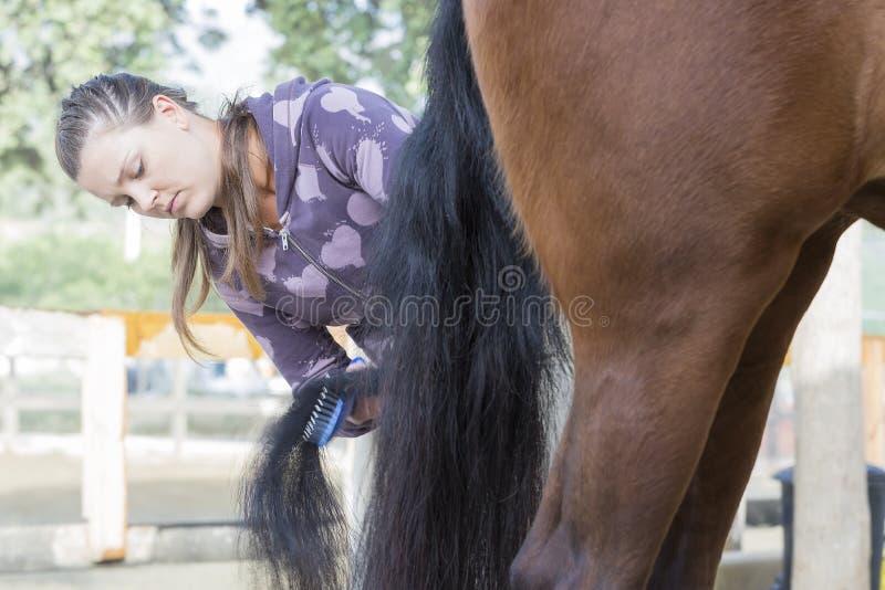Jovem mulher que prepara um cavalo fotografia de stock Jovem mulher que prepara um cavalo fotografia de stock